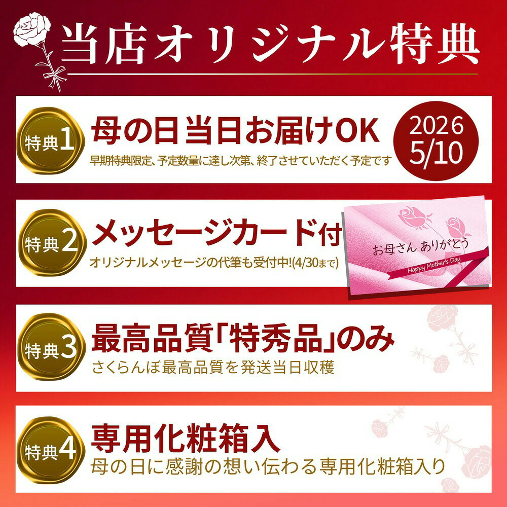果逢プレミアム さくらんぼ 鏡詰め 母の日ギフト