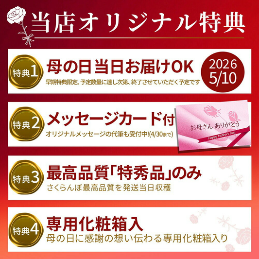 果逢プレミアム さくらんぼ ダイヤパック 母の日ギフト