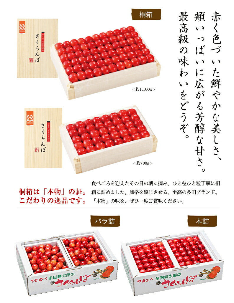 【2023年6月下旬発送 先行早割】 特選 山形県産 さくらんぼ佐藤錦 特秀 2L玉 300g 桐箱入 多田農園のさくらんぼ <br>大粒 山形県産 産地直送 化粧箱入 お中元 プレゼント 手詰め 厳選 特秀 送料無料 果物 フルーツギフト