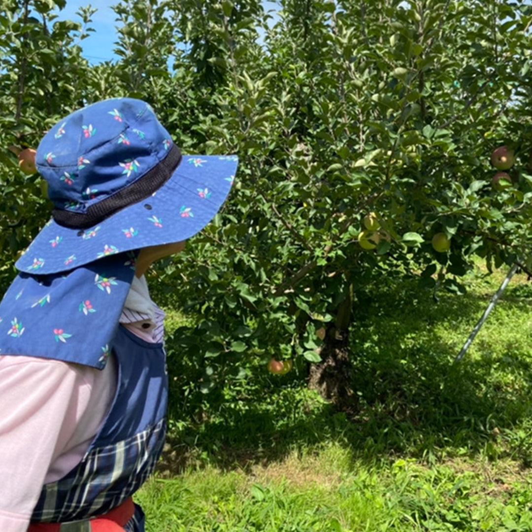 果逢プレミアム サンふじリンゴ 3kg