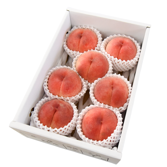 果逢プレミアム 白桃(川中島白桃) 2kg　ギフト贈答用