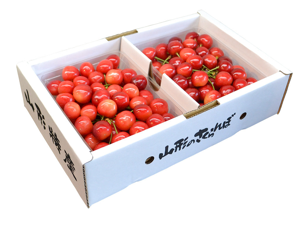 果逢プレミアム さくらんぼ 700g (350g×2) 特秀品 佐藤錦