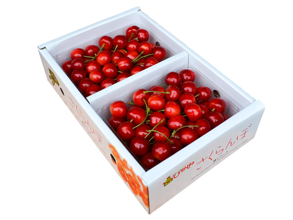 果逢プレミアム さくらんぼ 1kg (500g×2) 特秀品 佐藤錦
