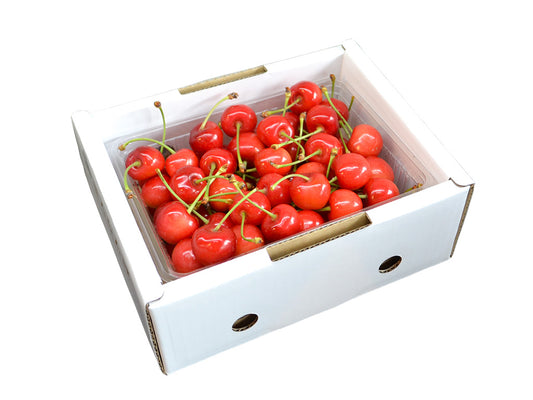 果逢プレミアム さくらんぼ 500g 特秀品 佐藤錦