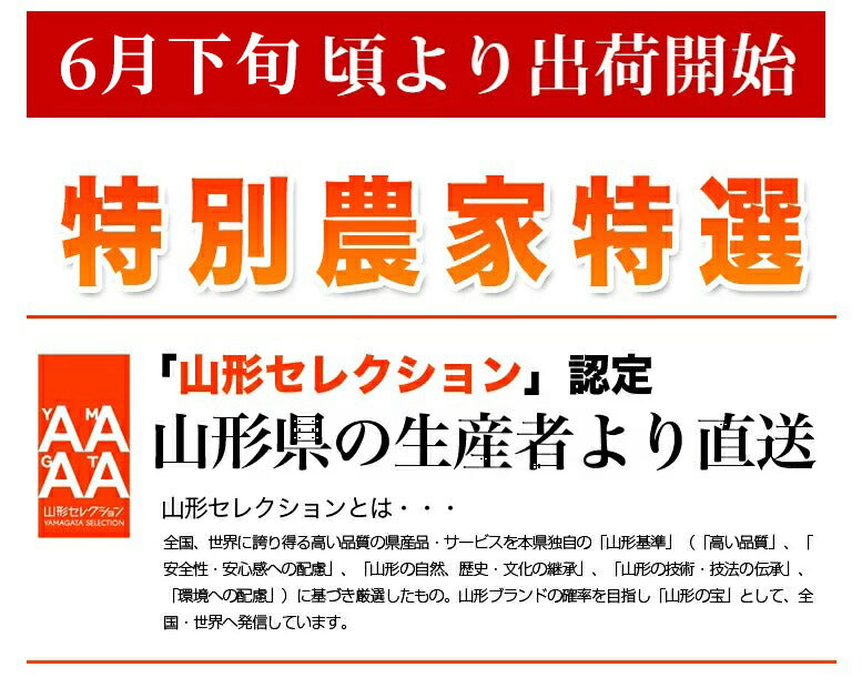 【2023年6月下旬発送 先行早割】 特選 山形県産 さくらんぼ佐藤錦 特秀 2Ｌ玉 700g 桐箱入 多田農園のさくらんぼ <br>大粒 山形県産 産地直送 化粧箱入 お中元 プレゼント 手詰め 厳選 特秀 送料無料 果物 フルーツギフト