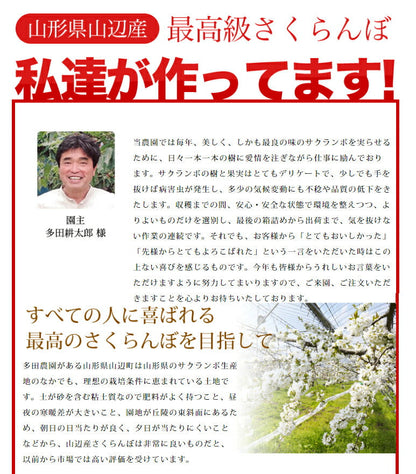 【2023年6月下旬発送 先行早割】 特選 山形県産 さくらんぼ佐藤錦 特秀 2Ｌ玉 700g 桐箱入 多田農園のさくらんぼ <br>大粒 山形県産 産地直送 化粧箱入 お中元 プレゼント 手詰め 厳選 特秀 送料無料 果物 フルーツギフト