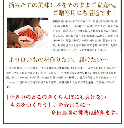 【2023年6月下旬発送 先行早割】 特選 山形県産 さくらんぼ佐藤錦 特秀 2Ｌ玉 700g 桐箱入 多田農園のさくらんぼ <br>大粒 山形県産 産地直送 化粧箱入 お中元 プレゼント 手詰め 厳選 特秀 送料無料 果物 フルーツギフト