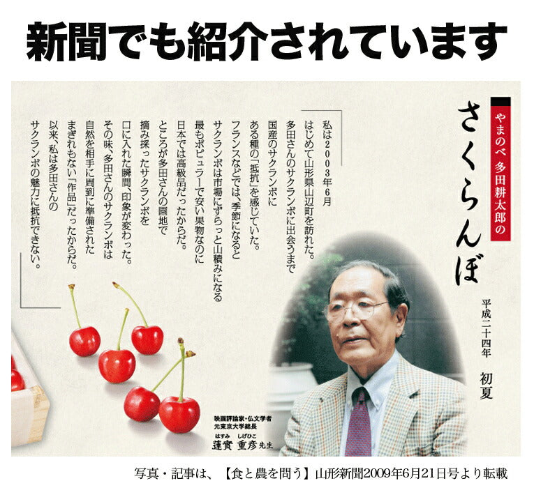 【2023年6月下旬発送 先行早割】 特選 山形県産 さくらんぼ佐藤錦 特秀 2Ｌ玉 300g 桐箱入 多田農園のさくらんぼ <br>大粒 山形県産 産地直送 化粧箱入 お中元 プレゼント 手詰め 厳選 特秀 送料無料 果物 フルーツギフト