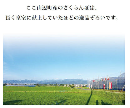 【2023年6月下旬発送 先行早割】 特選 山形県産 さくらんぼ佐藤錦 特秀 2Ｌ玉 700g 桐箱入 多田農園のさくらんぼ <br>大粒 山形県産 産地直送 化粧箱入 お中元 プレゼント 手詰め 厳選 特秀 送料無料 果物 フルーツギフト