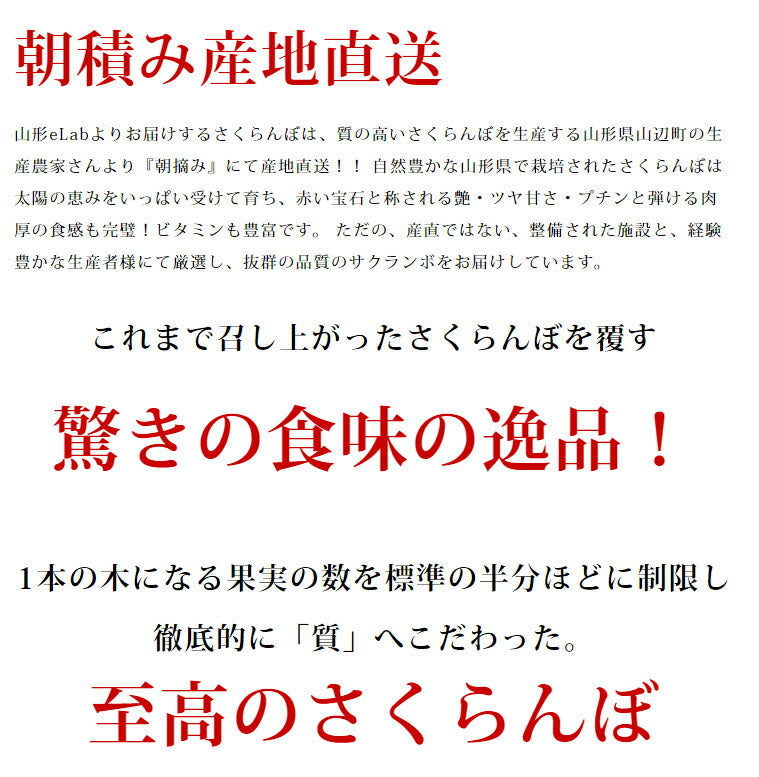 【2023年6月下旬発送 先行早割】 特選 山形県産 さくらんぼ佐藤錦 特秀 2Ｌ玉 500g 桐箱入 多田農園のさくらんぼ <br>大粒 山形県産 産地直送 化粧箱入 お中元 プレゼント 手詰め 厳選 特秀 送料無料 果物 フルーツギフト