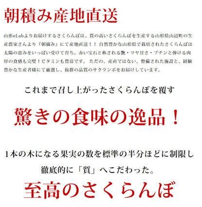 【2023年6月下旬発送 先行早割】 特選 山形県産 さくらんぼ佐藤錦 特秀 2Ｌ玉 300g 桐箱入 多田農園のさくらんぼ <br>大粒 山形県産 産地直送 化粧箱入 お中元 プレゼント 手詰め 厳選 特秀 送料無料 果物 フルーツギフト